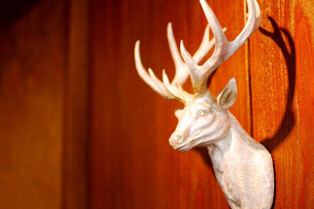 Hotel Hellers Twenty Four I -24H-Check-In- Friedrichshafen Bagian luar foto